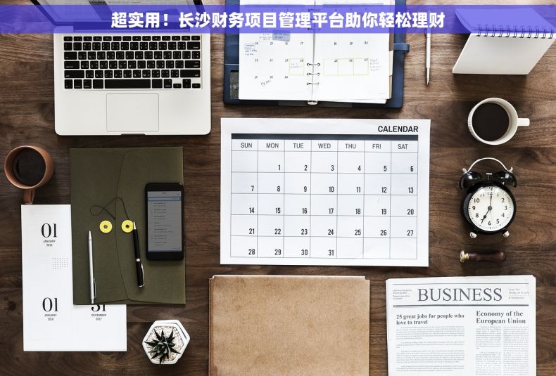 超实用！长沙财务项目管理平台助你轻松理财