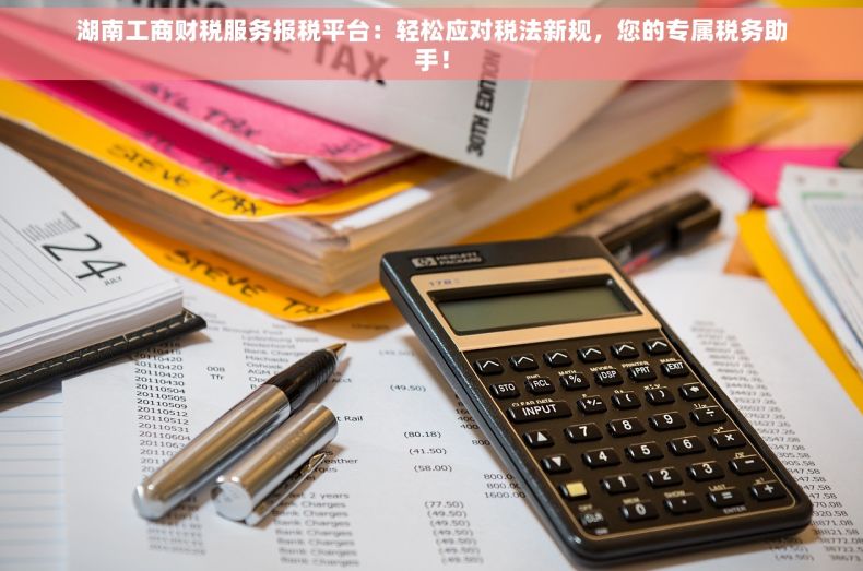 湖南工商财税服务报税平台：轻松应对税法新规，您的专属税务助手！