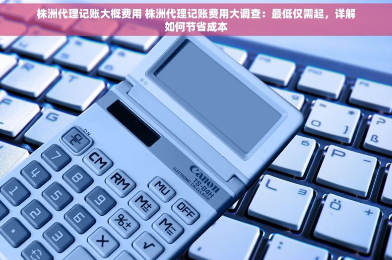 株洲代理记账大概费用 株洲代理记账费用大调查：最低仅需起，详解如何节省成本