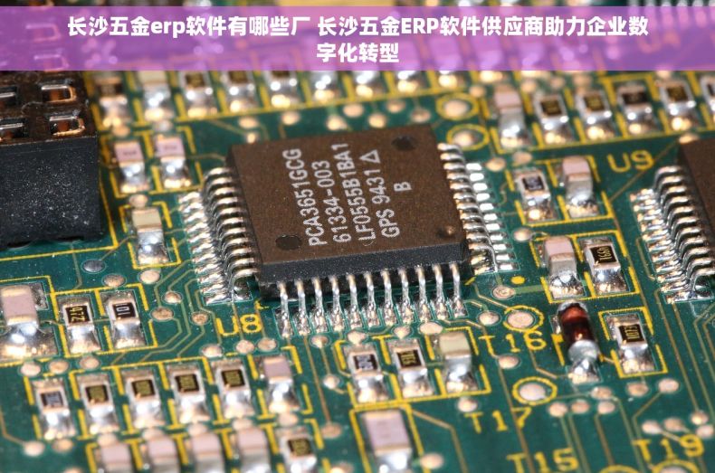 长沙五金erp软件有哪些厂 长沙五金ERP软件供应商助力企业数字化转型