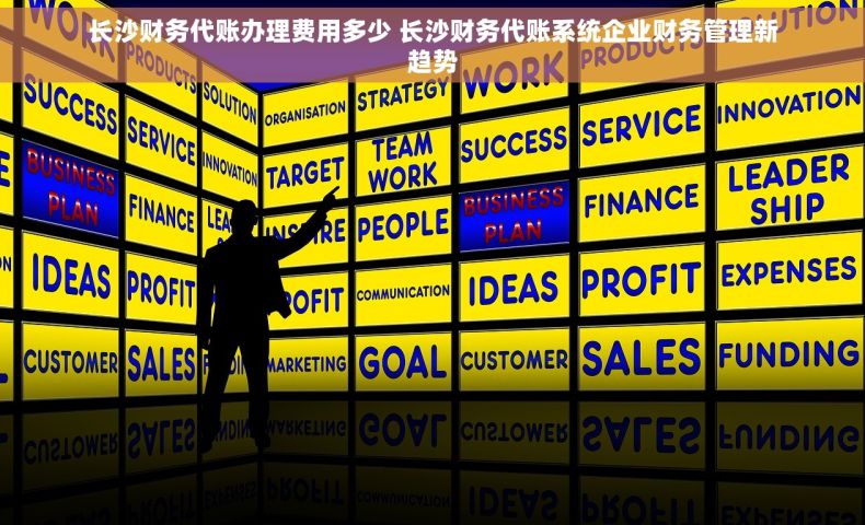 长沙财务代账办理费用多少 长沙财务代账系统企业财务管理新趋势