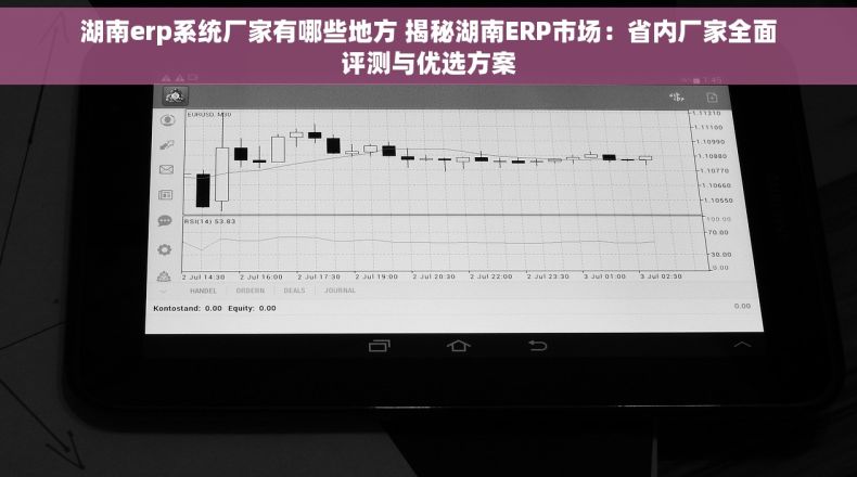 湖南erp系统厂家有哪些地方 揭秘湖南ERP市场：省内厂家全面评测与优选方案