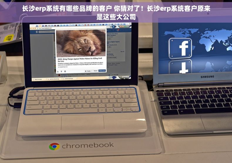 长沙erp系统有哪些品牌的客户 你猜对了！长沙erp系统客户原来是这些大公司