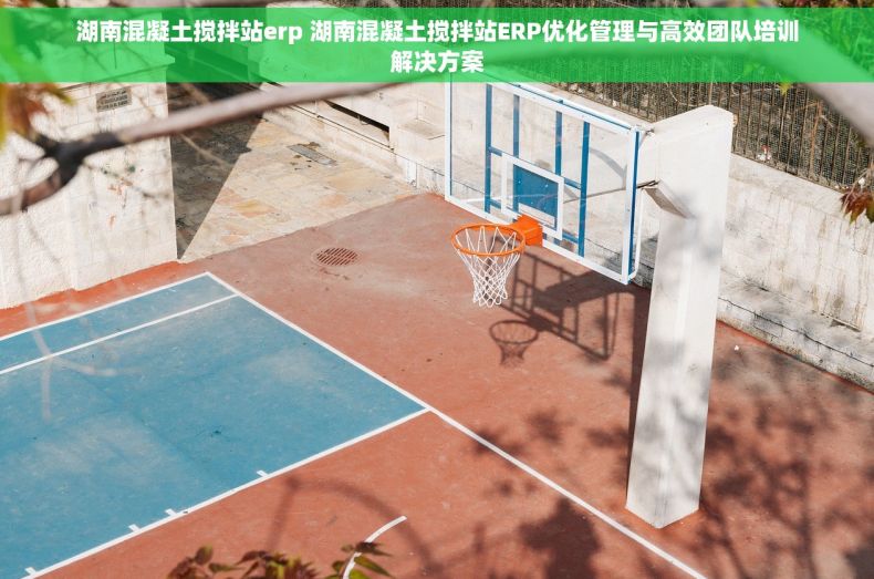 湖南混凝土搅拌站erp 湖南混凝土搅拌站ERP优化管理与高效团队培训解决方案
