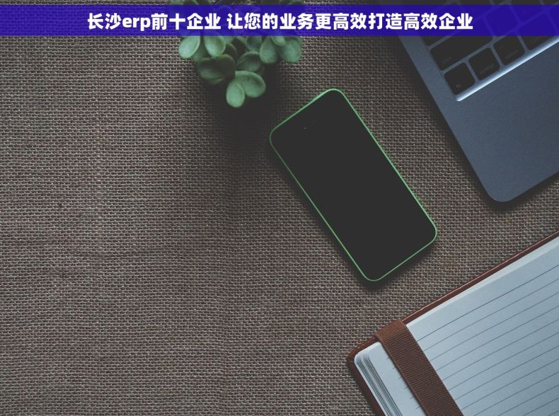 长沙erp前十企业 让您的业务更高效打造高效企业