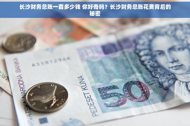 长沙财务总账一套多少钱 你好奇吗？长沙财务总账花费背后的秘密