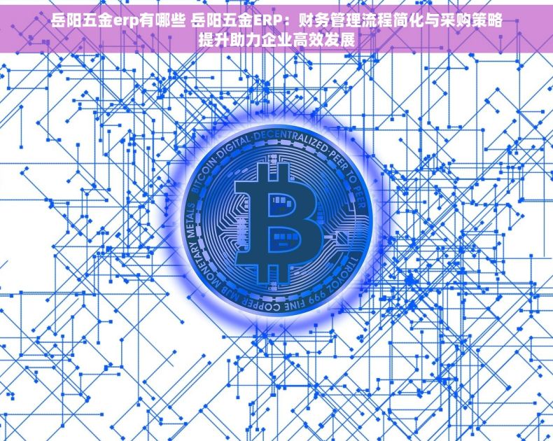 岳阳五金erp有哪些 岳阳五金ERP：财务管理流程简化与采购策略提升助力企业高效发展