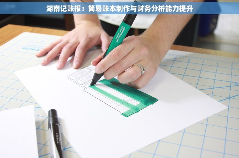 湖南记账报：简易账本制作与财务分析能力提升