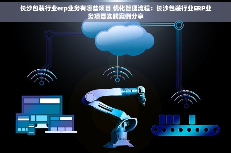 长沙包装行业erp业务有哪些项目 优化管理流程：长沙包装行业ERP业务项目实践案例分享