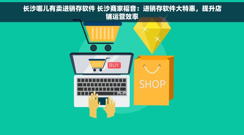 长沙哪儿有卖进销存软件 长沙商家福音：进销存软件大特惠，提升店铺运营效率