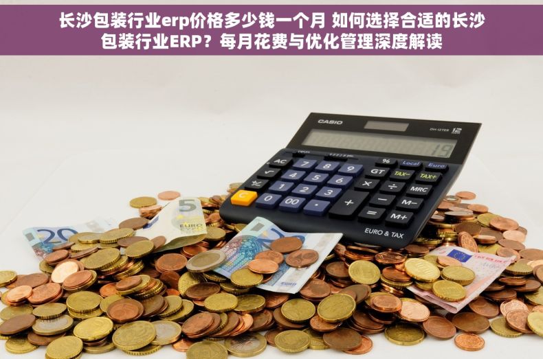 长沙包装行业erp价格多少钱一个月 如何选择合适的长沙包装行业ERP？每月花费与优化管理深度解读