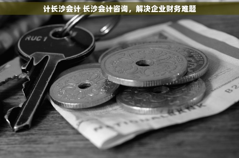 计长沙会计 长沙会计咨询，解决企业财务难题