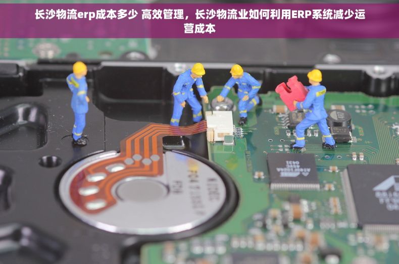 长沙物流erp成本多少 高效管理，长沙物流业如何利用ERP系统减少运营成本
