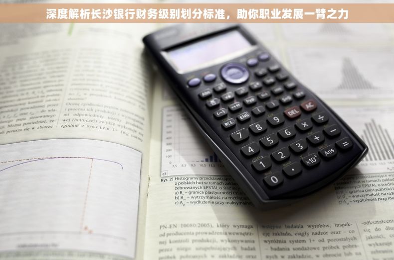 深度解析长沙银行财务级别划分标准，助你职业发展一臂之力