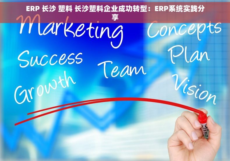 ERP 长沙 塑料 长沙塑料企业成功转型：ERP系统实践分享
