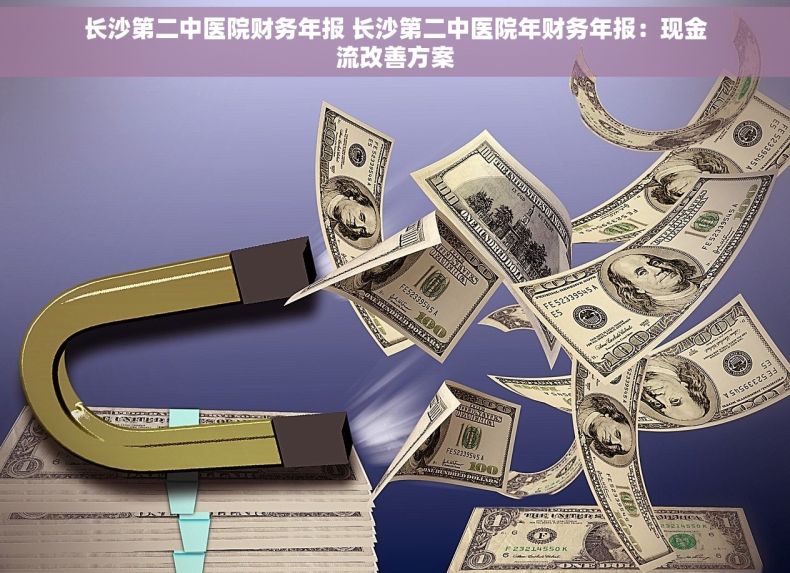 长沙第二中医院财务年报 长沙第二中医院年财务年报：现金流改善方案