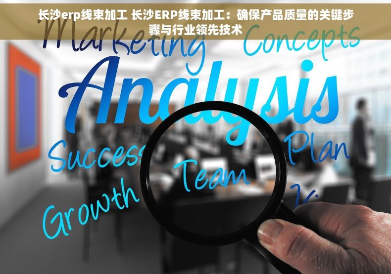 长沙erp线束加工 长沙ERP线束加工：确保产品质量的关键步骤与行业领先技术