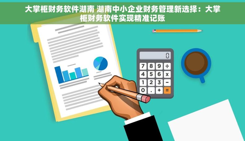 大掌柜财务软件湖南 湖南中小企业财务管理新选择：大掌柜财务软件实现精准记账