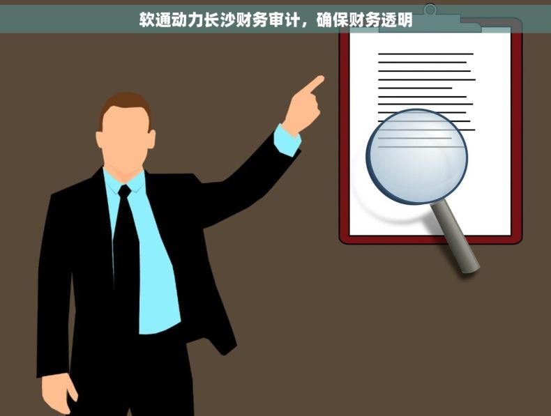 软通动力长沙财务审计，确保财务透明
