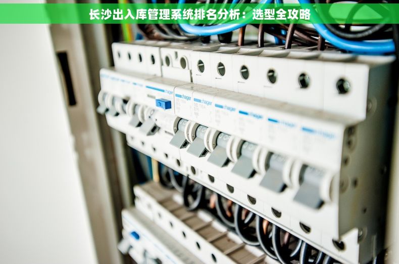 长沙出入库管理系统排名分析：选型全攻略