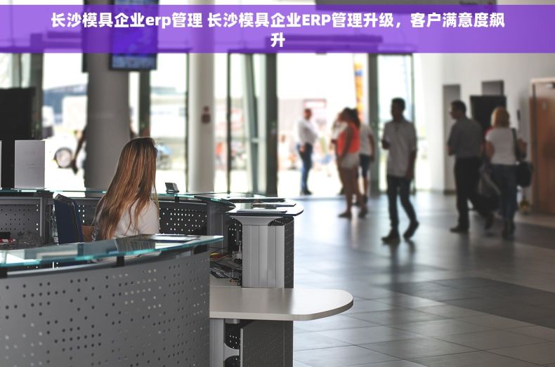 长沙模具企业erp管理 长沙模具企业ERP管理升级，客户满意度飙升