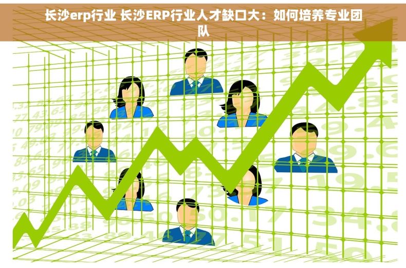 长沙erp行业 长沙ERP行业人才缺口大：如何培养专业团队