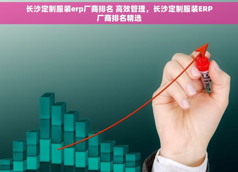 长沙定制服装erp厂商排名 高效管理，长沙定制服装ERP厂商排名精选