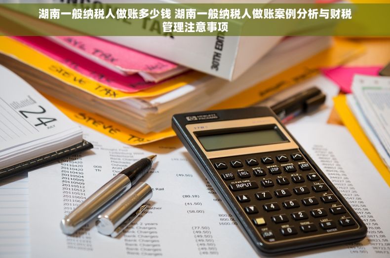 湖南一般纳税人做账多少钱 湖南一般纳税人做账案例分析与财税管理注意事项