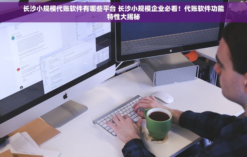长沙小规模代账软件有哪些平台 长沙小规模企业必看！代账软件功能特性大揭秘