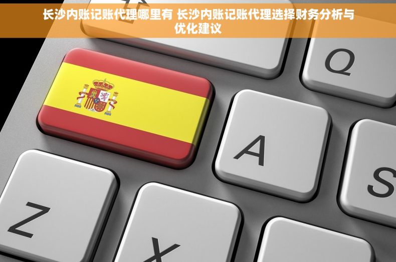 长沙内账记账代理哪里有 长沙内账记账代理选择财务分析与优化建议