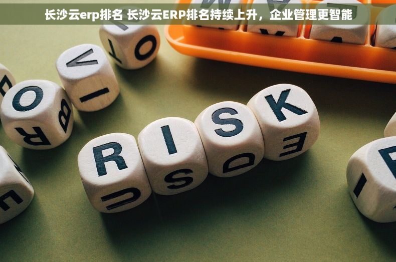 长沙云erp排名 长沙云ERP排名持续上升，企业管理更智能