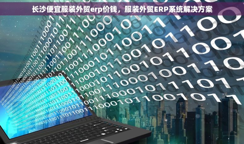 长沙便宜服装外贸erp价钱，服装外贸ERP系统解决方案