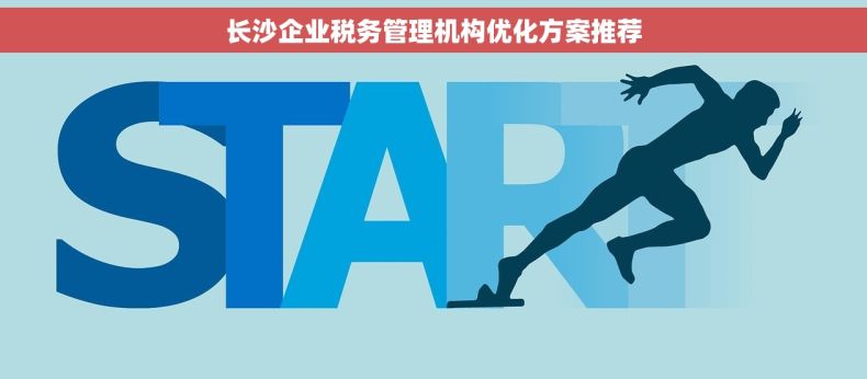长沙企业税务管理机构优化方案推荐