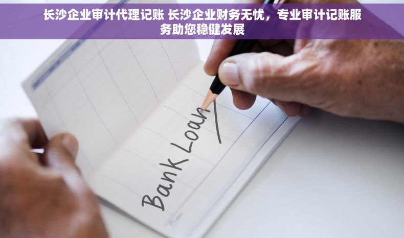 长沙企业审计代理记账 长沙企业财务无忧，专业审计记账服务助您稳健发展