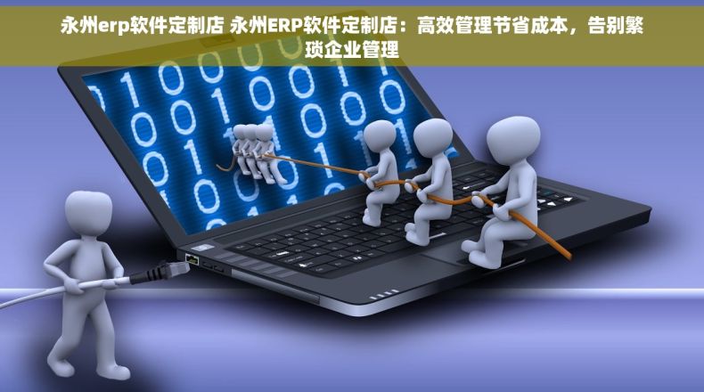永州erp软件定制店 永州ERP软件定制店：高效管理节省成本，告别繁琐企业管理