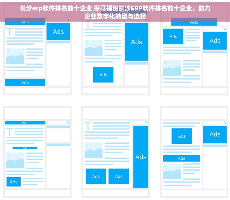 长沙erp软件排名前十企业 探寻揭秘长沙ERP软件排名前十企业，助力企业数字化转型与选择
