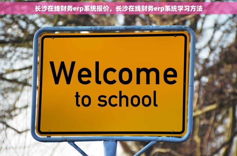 长沙在线财务erp系统报价，长沙在线财务erp系统学习方法
