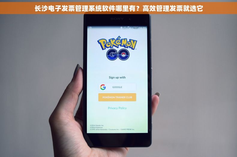 长沙电子发票管理系统软件哪里有？高效管理发票就选它