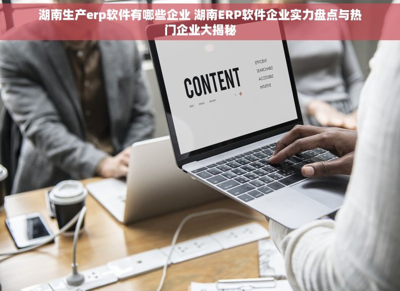 湖南生产erp软件有哪些企业 湖南ERP软件企业实力盘点与热门企业大揭秘