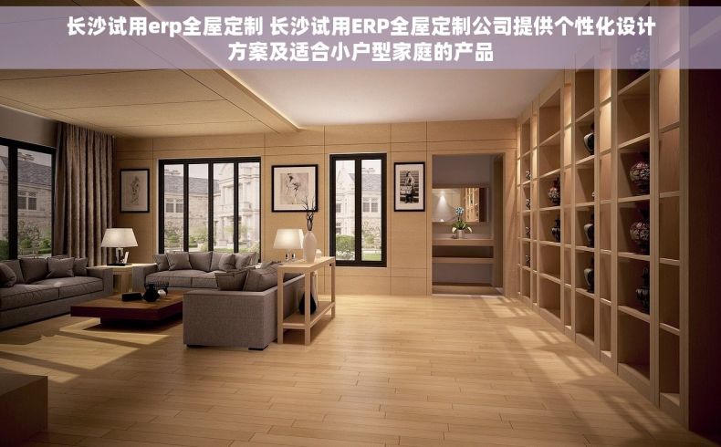 长沙试用erp全屋定制 长沙试用ERP全屋定制公司提供个性化设计方案及适合小户型家庭的产品