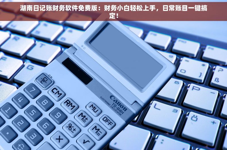 湖南日记账财务软件免费版：财务小白轻松上手，日常账目一键搞定！