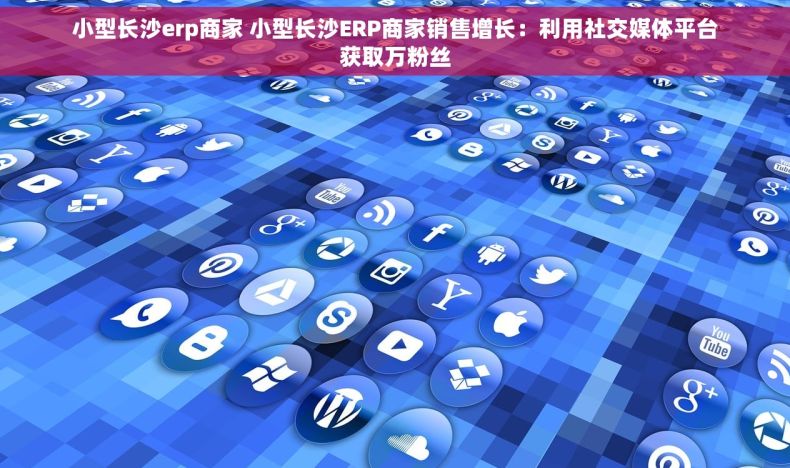 小型长沙erp商家 小型长沙ERP商家销售增长：利用社交媒体平台获取万粉丝
