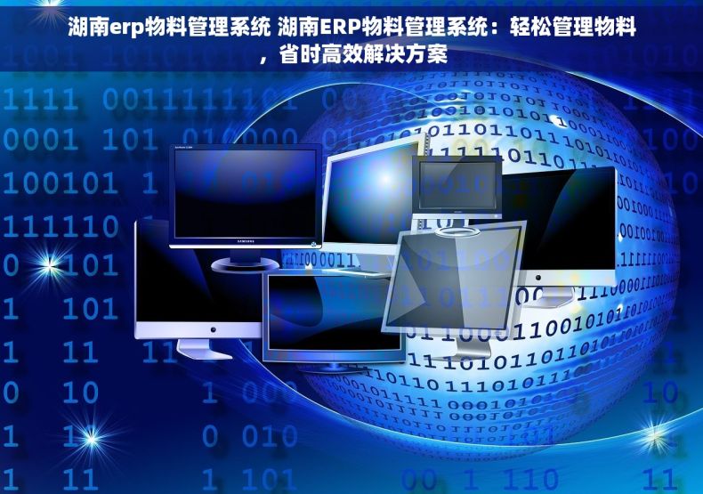 湖南erp物料管理系统 湖南ERP物料管理系统：轻松管理物料，省时高效解决方案
