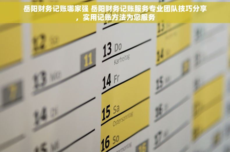 岳阳财务记账哪家强 岳阳财务记账服务专业团队技巧分享，实用记账方法为您服务