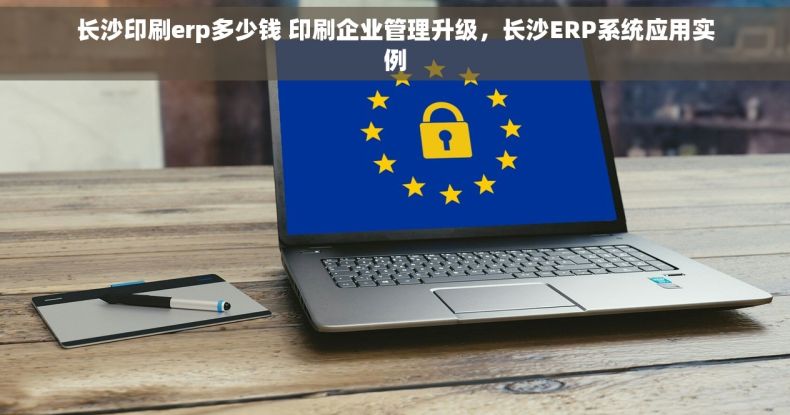 长沙印刷erp多少钱 印刷企业管理升级，长沙ERP系统应用实例