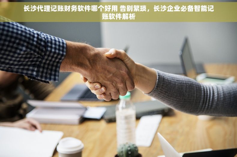 长沙代理记账财务软件哪个好用 告别繁琐，长沙企业必备智能记账软件解析