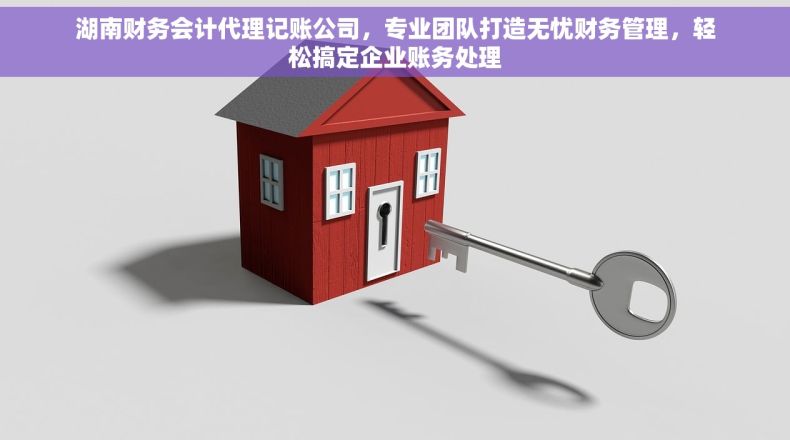 湖南财务会计代理记账公司，专业团队打造无忧财务管理，轻松搞定企业账务处理