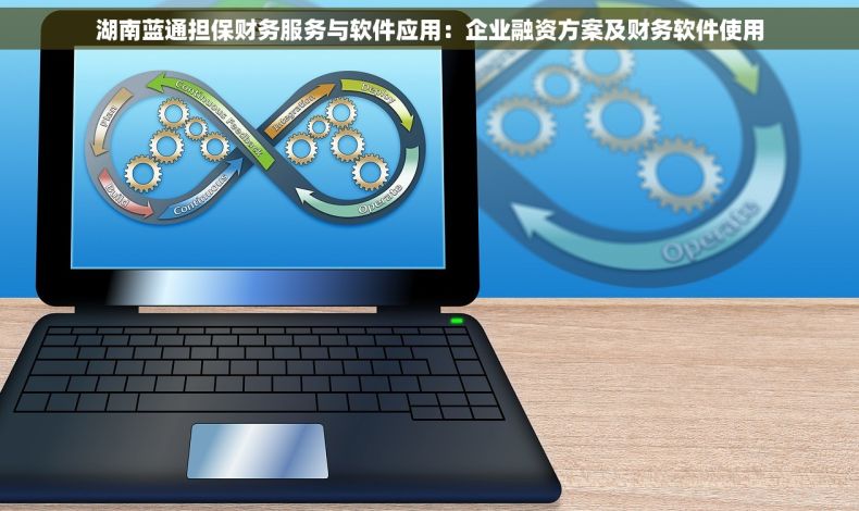 湖南蓝通担保财务服务与软件应用：企业融资方案及财务软件使用