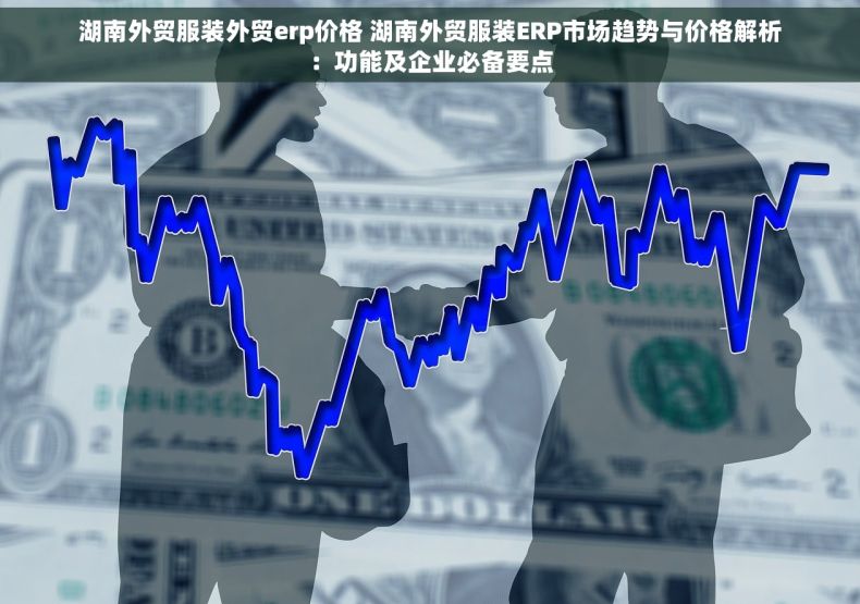 湖南外贸服装外贸erp价格 湖南外贸服装ERP市场趋势与价格解析：功能及企业必备要点