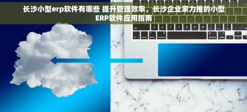 长沙小型erp软件有哪些 提升管理效率，长沙企业家力推的小型ERP软件应用指南